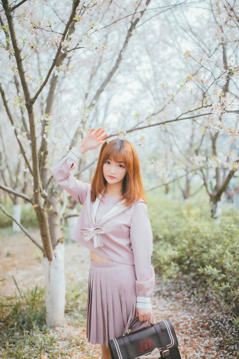 YALAYI Vol. 246 Sakura Sakura Want to Meet You