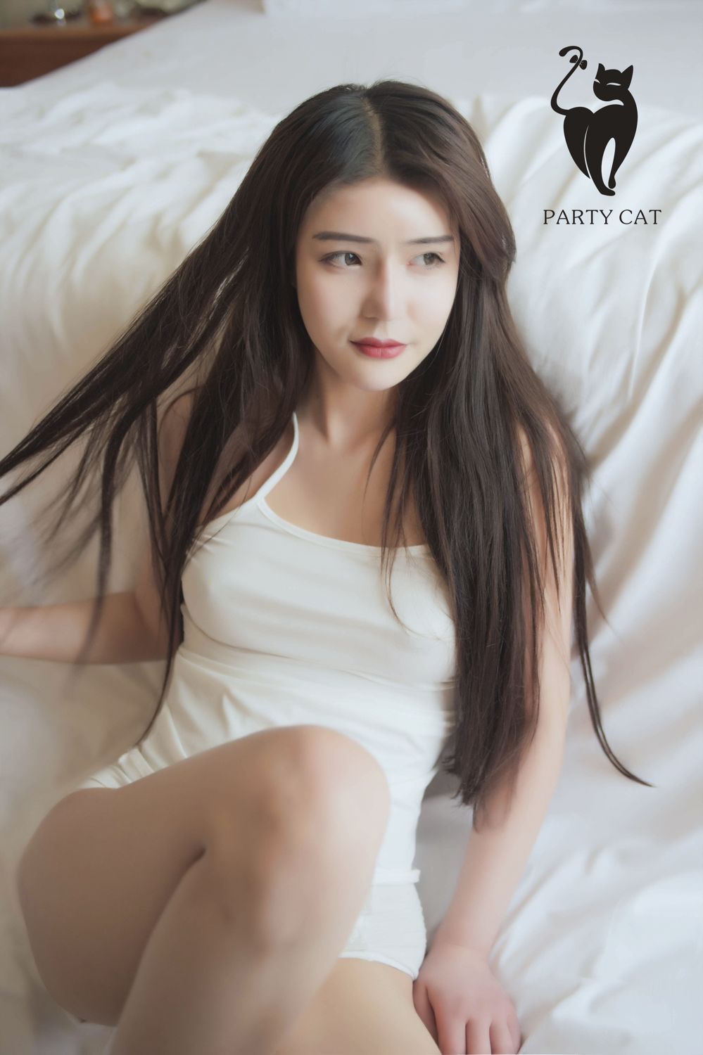 PartyCat Vol. 012