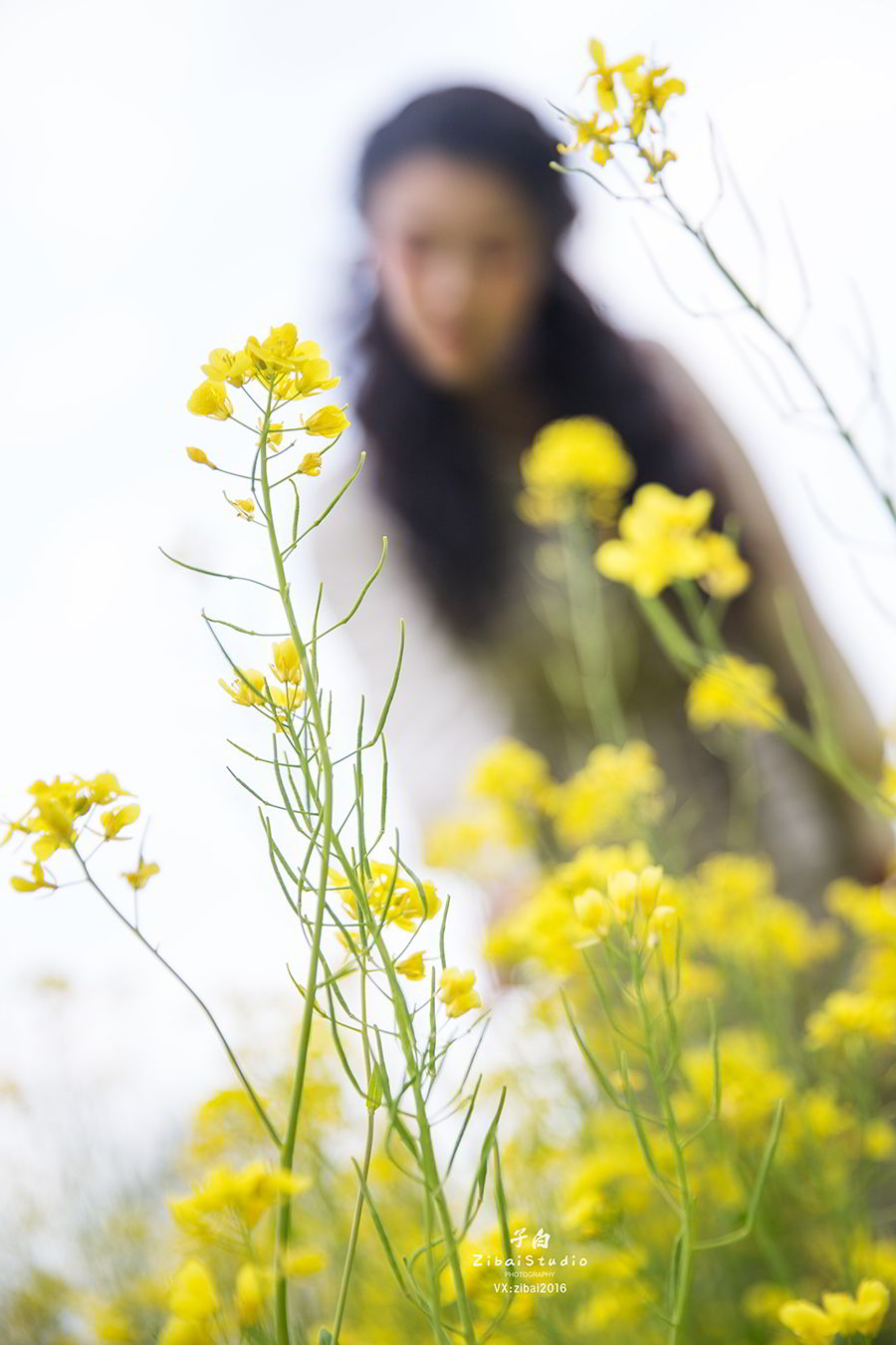 [TouTiao Girls] 2020.04.20 The sunny days of rape flowers