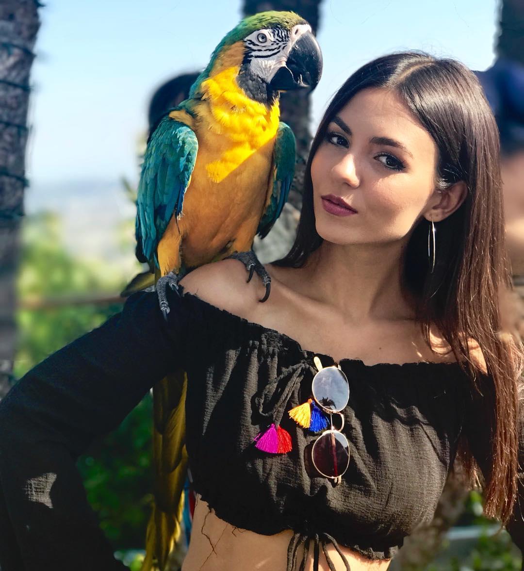 Victoria Justice Temperament Picture and Photo