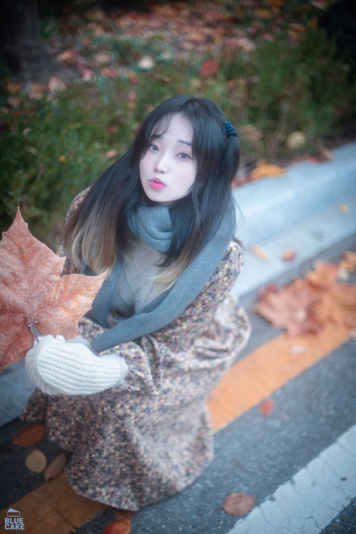 BLUECAKE Bambi 밤비 Autumn 0031 9612058241.jpg