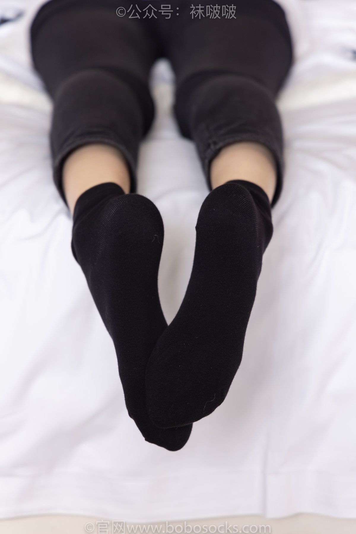 BoBoSocks袜啵啵 NO 055 Zhi Yu B 0050 8589091162.jpg