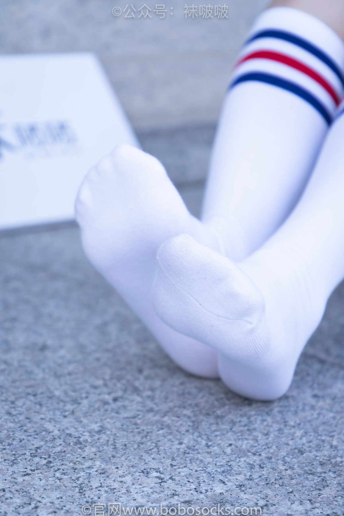 BoBoSocks袜啵啵 NO 006 小米 0047 2396629284.jpg