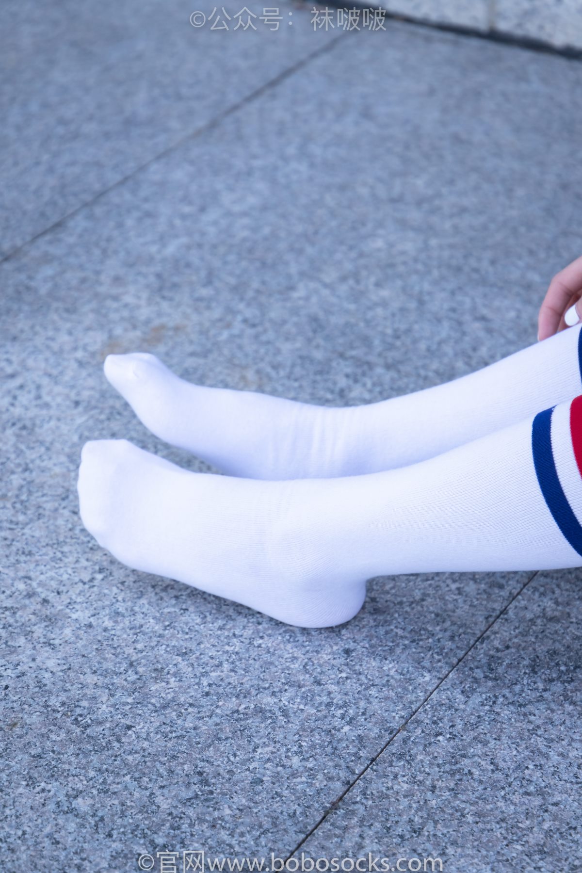 BoBoSocks袜啵啵 NO 006 小米 0055 1952203922.jpg