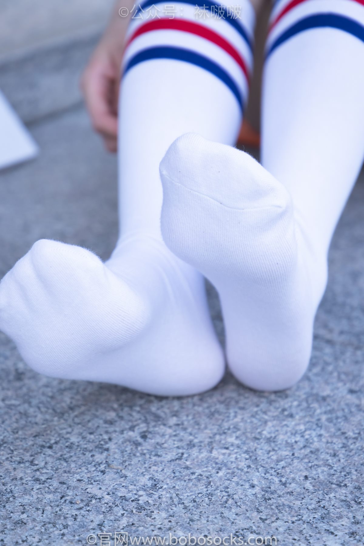 BoBoSocks袜啵啵 NO 006 小米 0107 7177314335.jpg