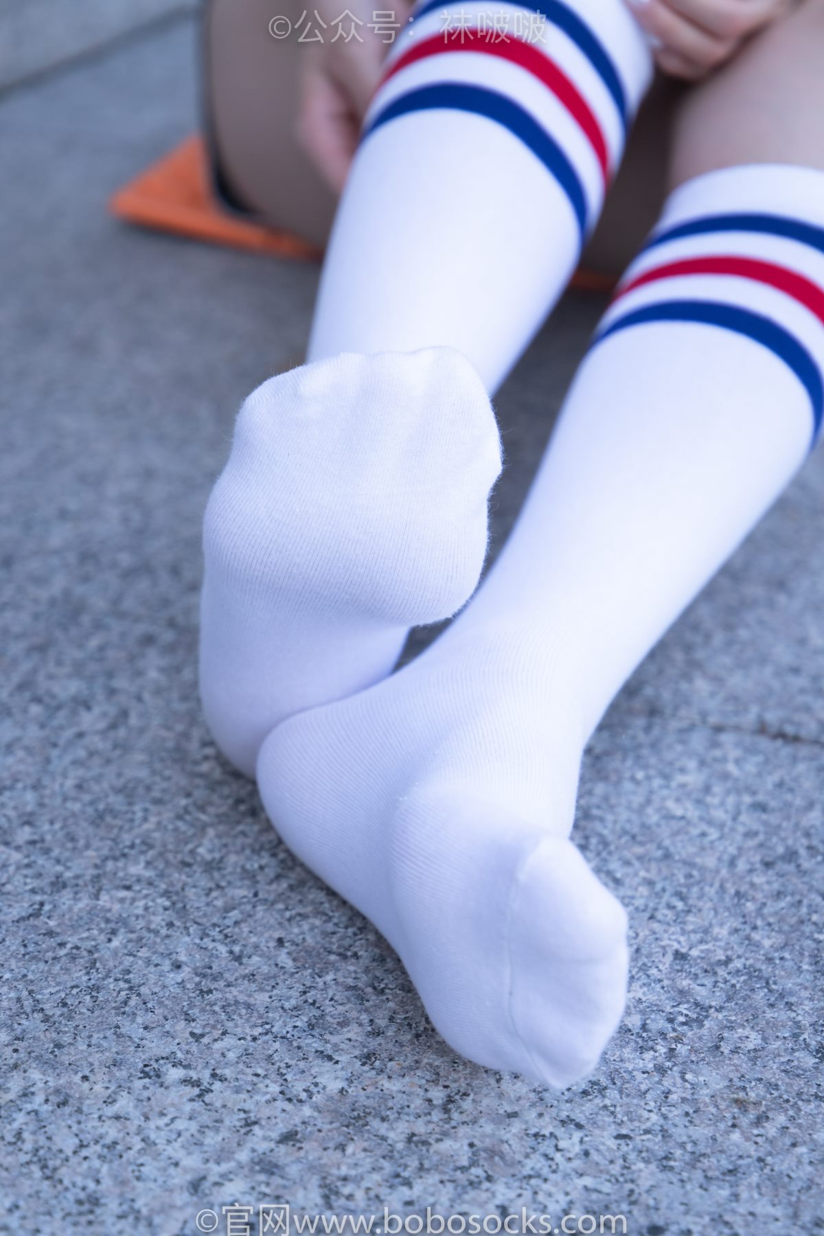 BoBoSocks袜啵啵 NO 006 小米 0128 1608779901.jpg