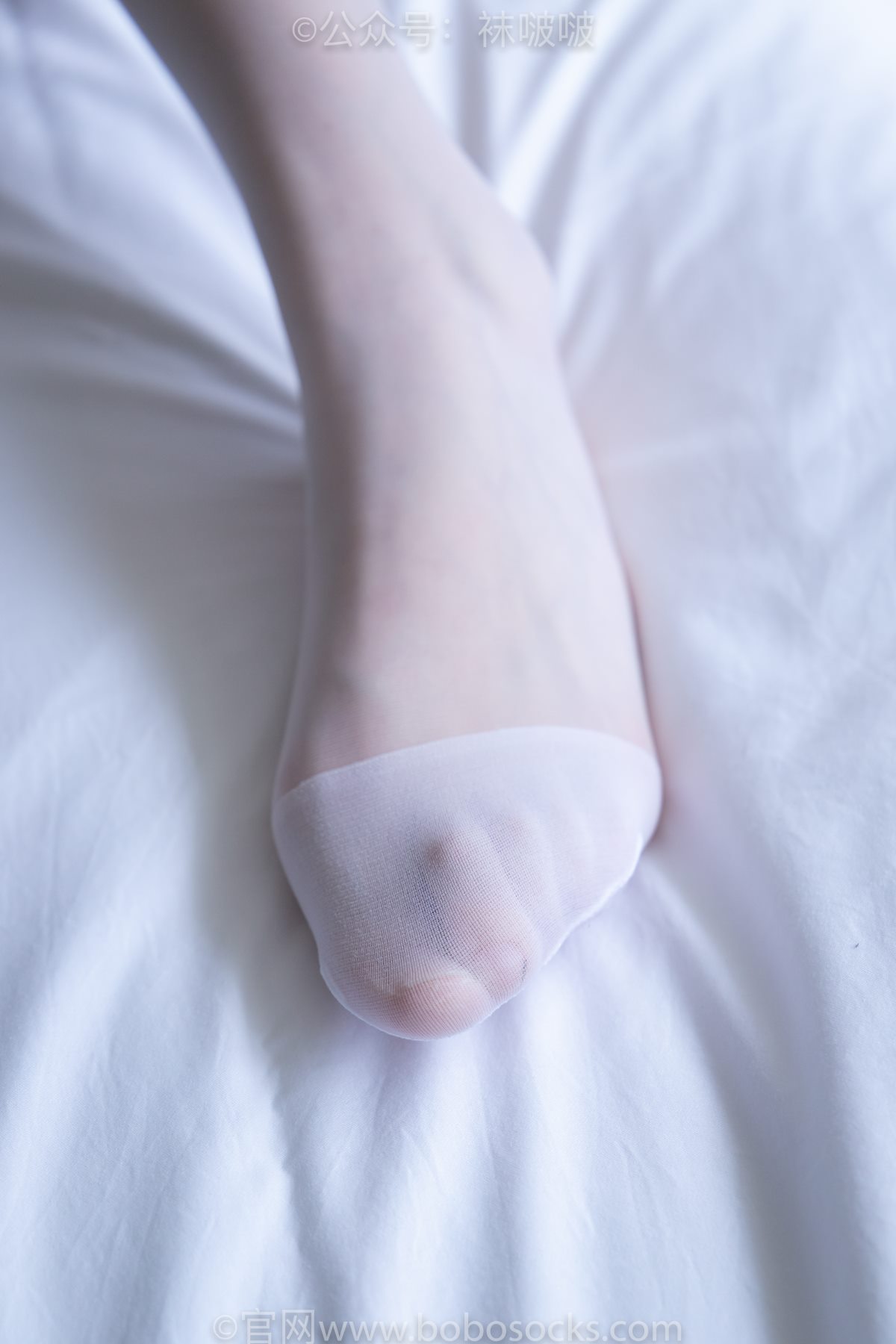 BoBoSocks袜啵啵 NO 005 小甜豆 0049 6884568117.jpg