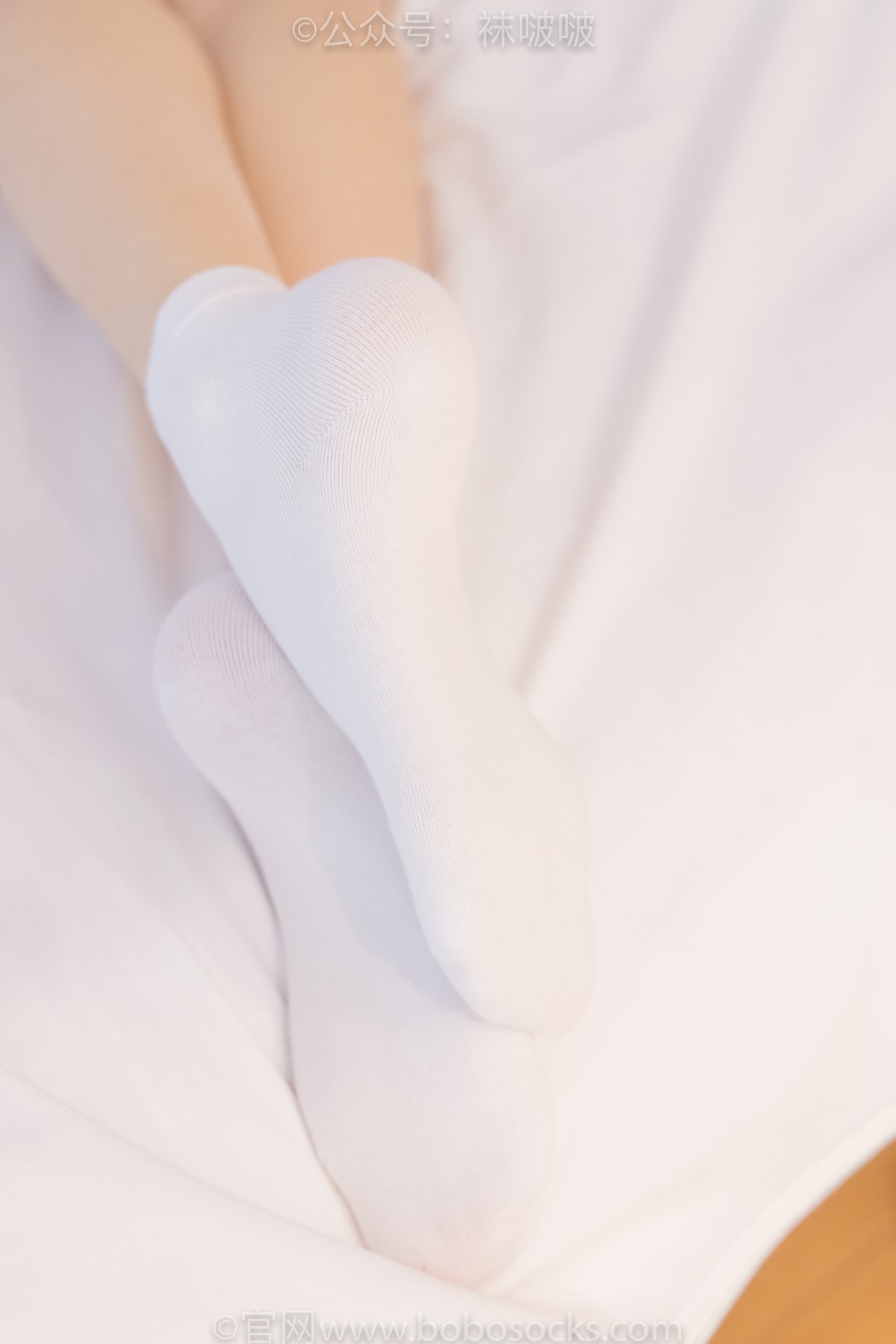 BoBoSocks袜啵啵 NO 073 Zhi Yu B 0020 7097687275.jpg