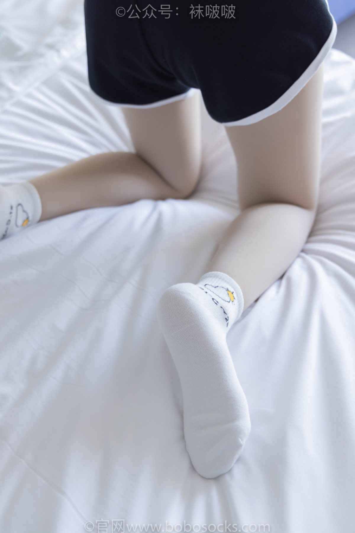 BoBoSocks袜啵啵 NO 031 Xiao Nai Xiong 0067 7284146443.jpg