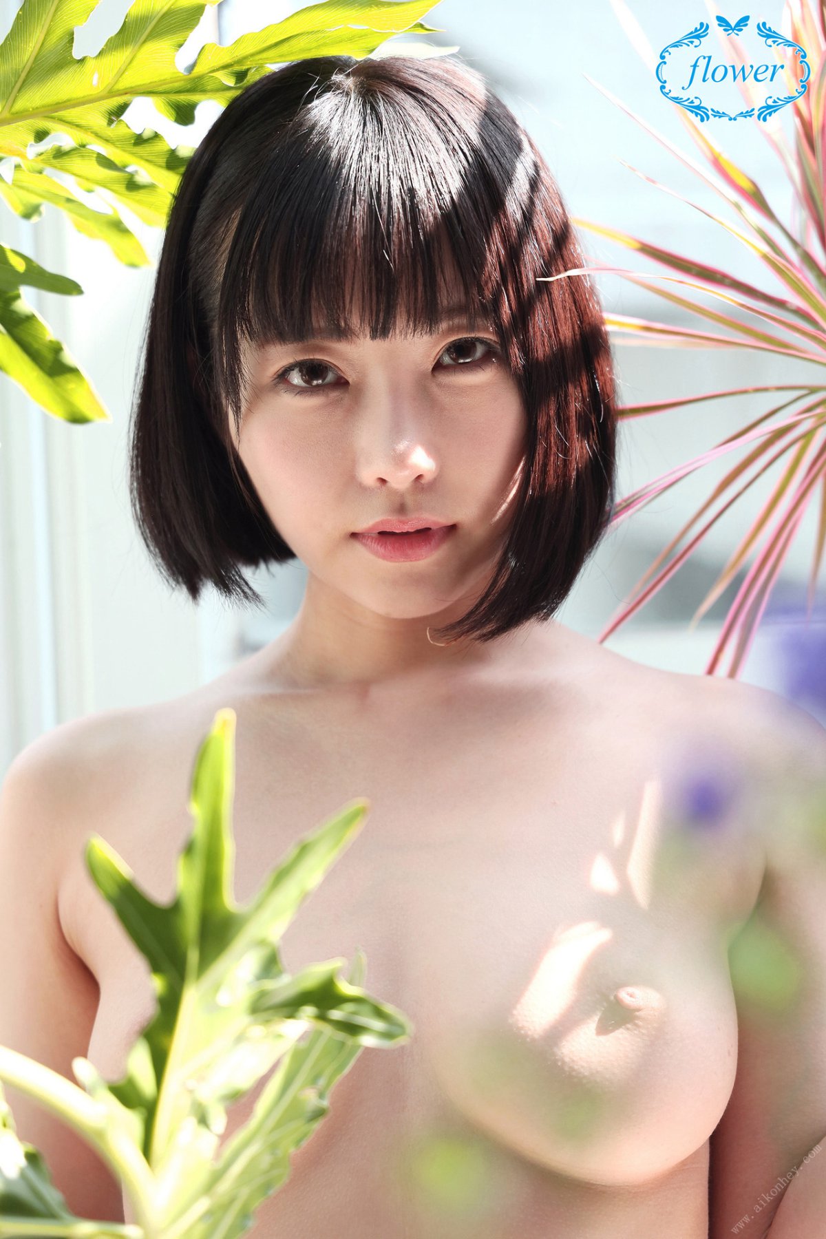 Photobook FLOWER Yui Shirasaka 白坂有以 Vol 07 0006 6364976810.jpg