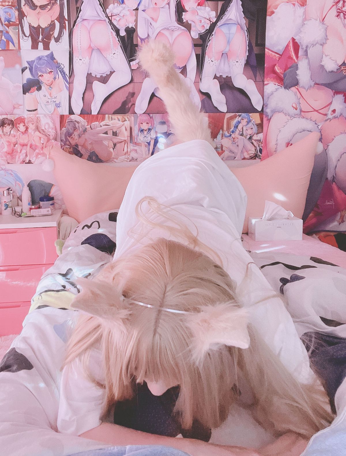 Coser@习呆呆 Kinako Neko 0002 9851018164.jpg