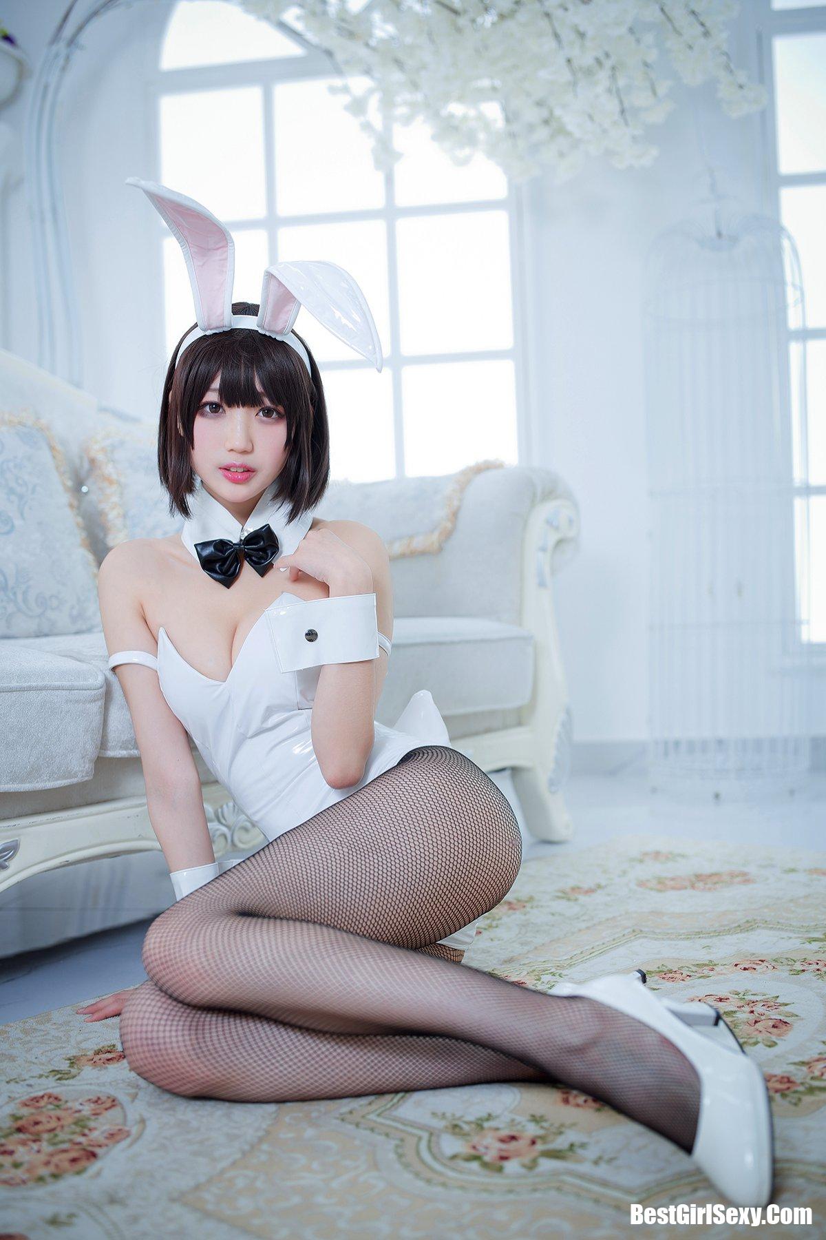 Coser@周叽是可爱兔兔 Vol.023 加藤惠兔女郎 1