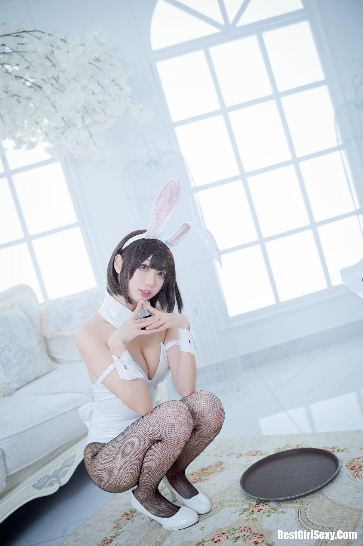 Coser@周叽是可爱兔兔 Vol.023 加藤惠兔女郎 6