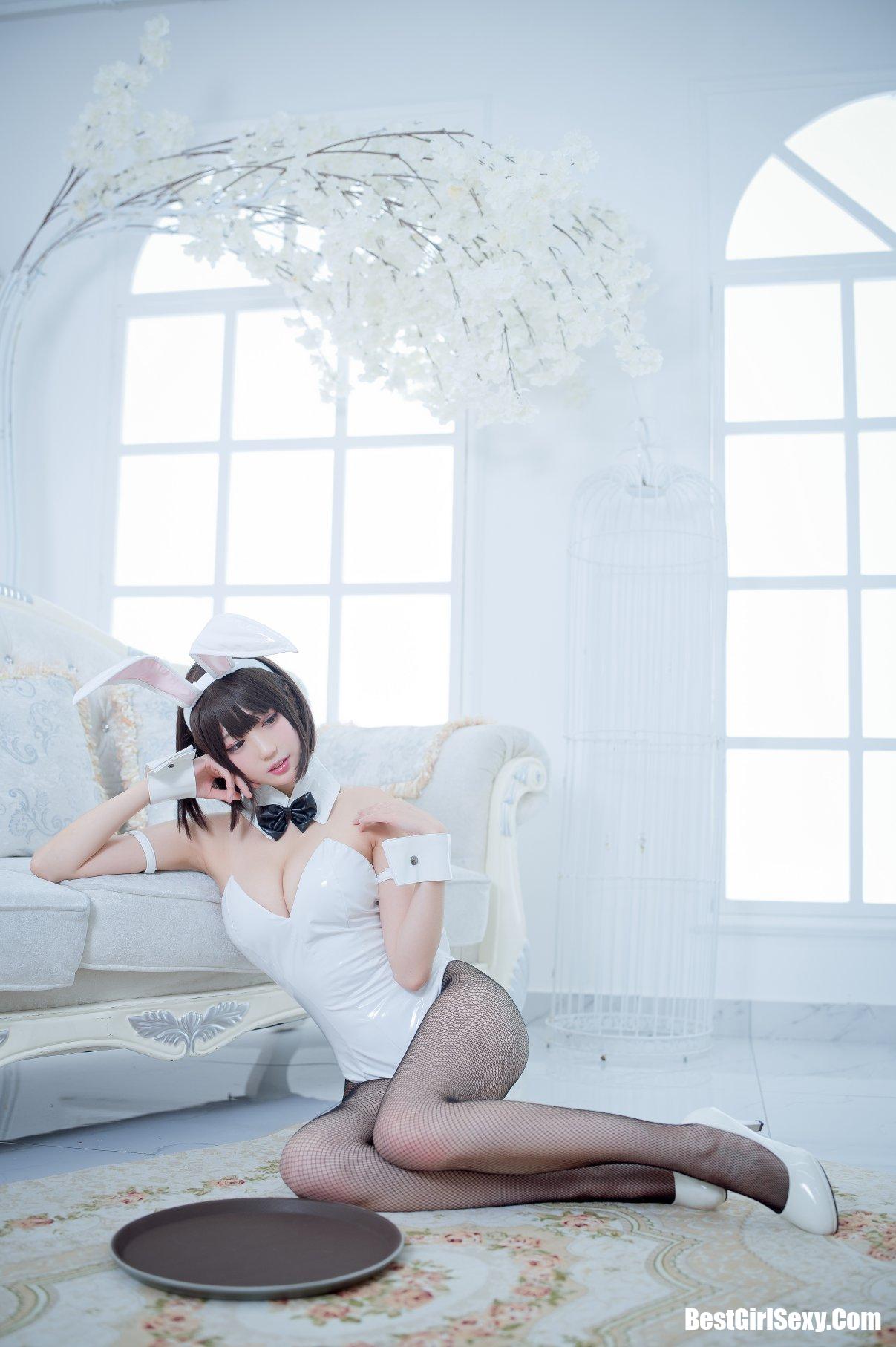 Coser@周叽是可爱兔兔 Vol.023 加藤惠兔女郎 7