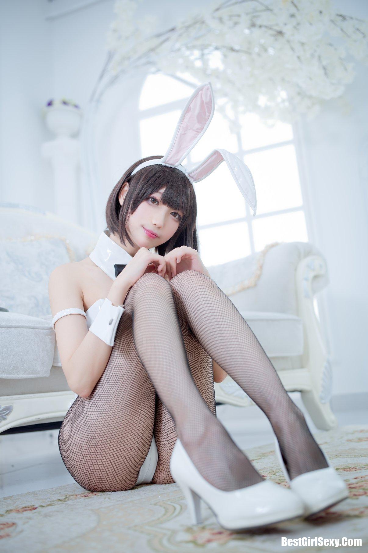 Coser@周叽是可爱兔兔 Vol.023 加藤惠兔女郎 22